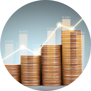 나에게 맞는 맞춤 보장